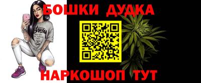 прущие крисы Будённовск