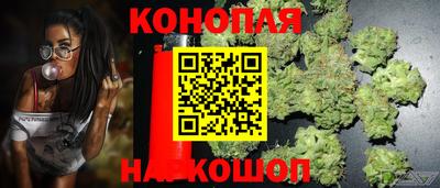 прущие крисы Будённовск