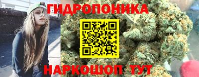 прущие крисы Будённовск