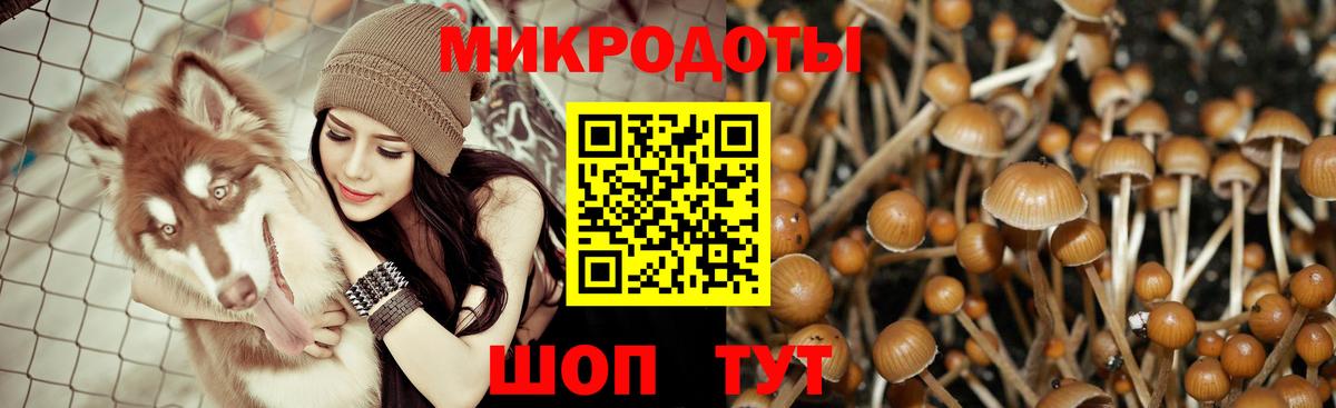 Галлюциногенные грибы мицелий  Вход с VPN  Галлюциногенные грибы ЛСД  Тында 
