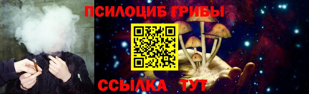 Псилоцибиновые грибы прущие грибы Тында
